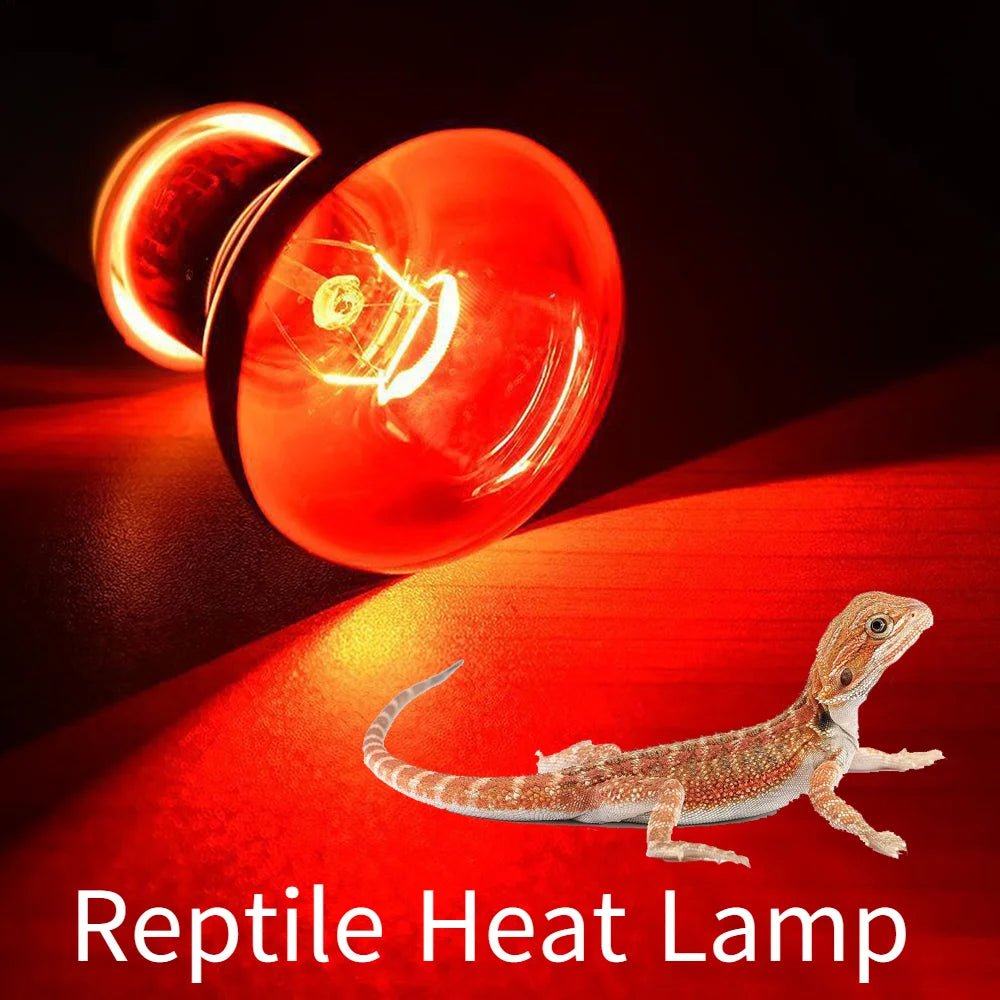 Wholesale Bulk E27 Reptile Heat Lamp 25 - 100W Amphibious Uva Red Heating Bulb Lizards Snakes Spiders Reptiles Breeding Tank Lighting Supplies - Furbury