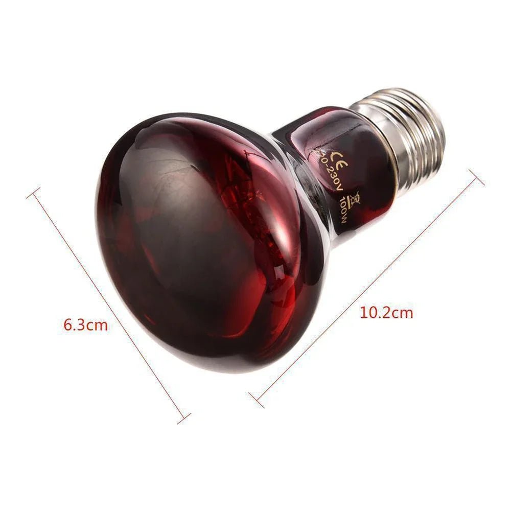 Wholesale Bulk E27 Reptile Heat Lamp 25 - 100W Amphibious Uva Red Heating Bulb Lizards Snakes Spiders Reptiles Breeding Tank Lighting Supplies - Furbury