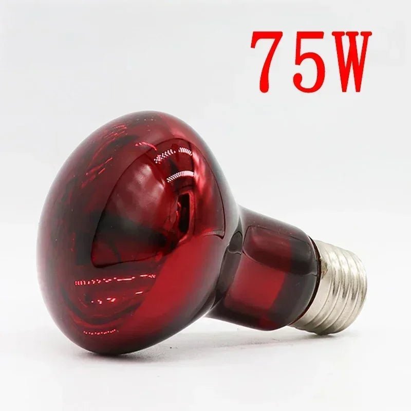 Wholesale Bulk E27 Reptile Heat Lamp 25 - 100W Amphibious Uva Red Heating Bulb Lizards Snakes Spiders Reptiles Breeding Tank Lighting Supplies - Furbury