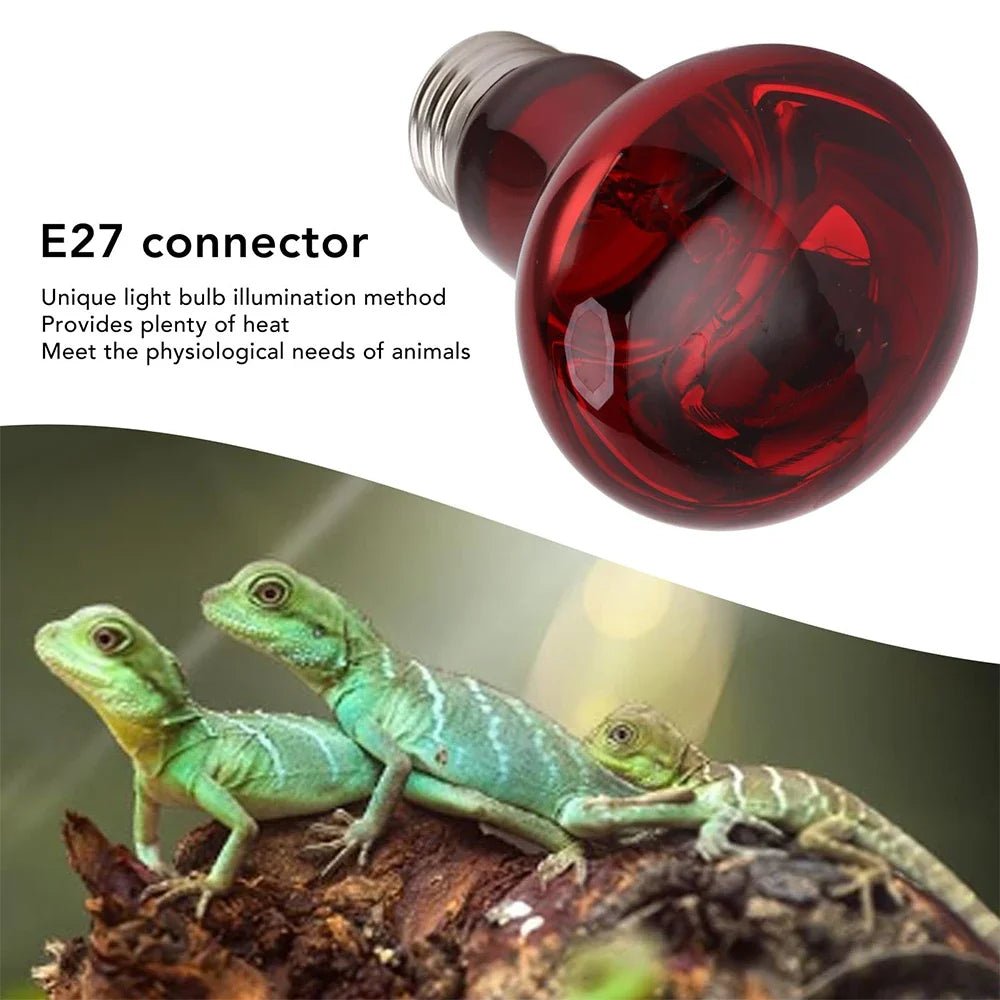 Wholesale Bulk E27 Reptile Heat Lamp 25 - 100W Amphibious Uva Red Heating Bulb Lizards Snakes Spiders Reptiles Breeding Tank Lighting Supplies - Furbury