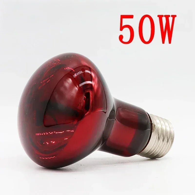 Wholesale Bulk E27 Reptile Heat Lamp 25 - 100W Amphibious Uva Red Heating Bulb Lizards Snakes Spiders Reptiles Breeding Tank Lighting Supplies - Furbury