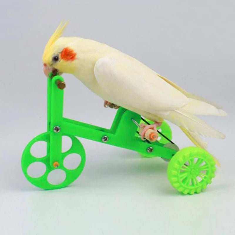 Wholesale Bulk Funny Parrot Bike Toy Birds Training Plaything Supplies Educational Interactive Props for Parakeet Cockatiel Conure Lovebird - Furbury