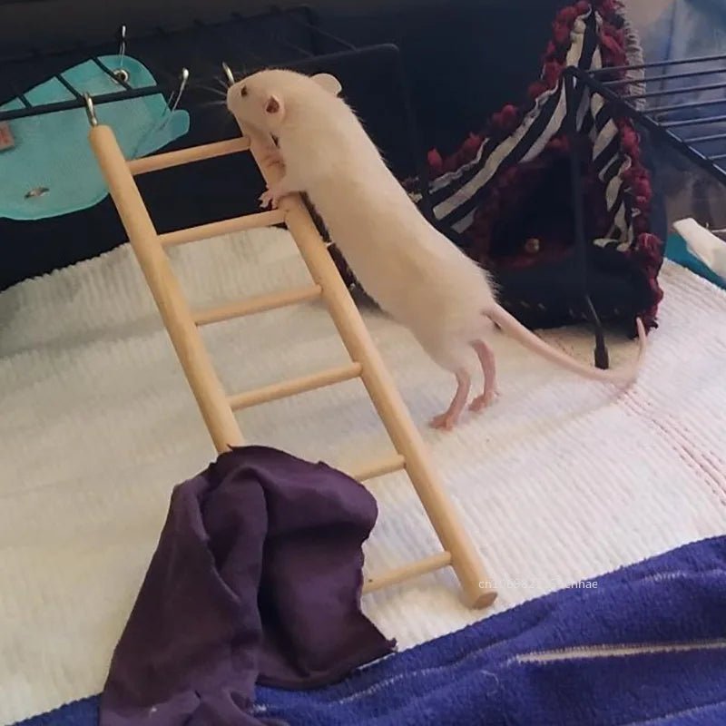 Wholesale Bulk Hamster Parrot Toys Hanging Cage Climbing Ladders with Natural Wood Parrots Suspension Bridge Swing Toys Bird Small Pet Supplies - Furbury