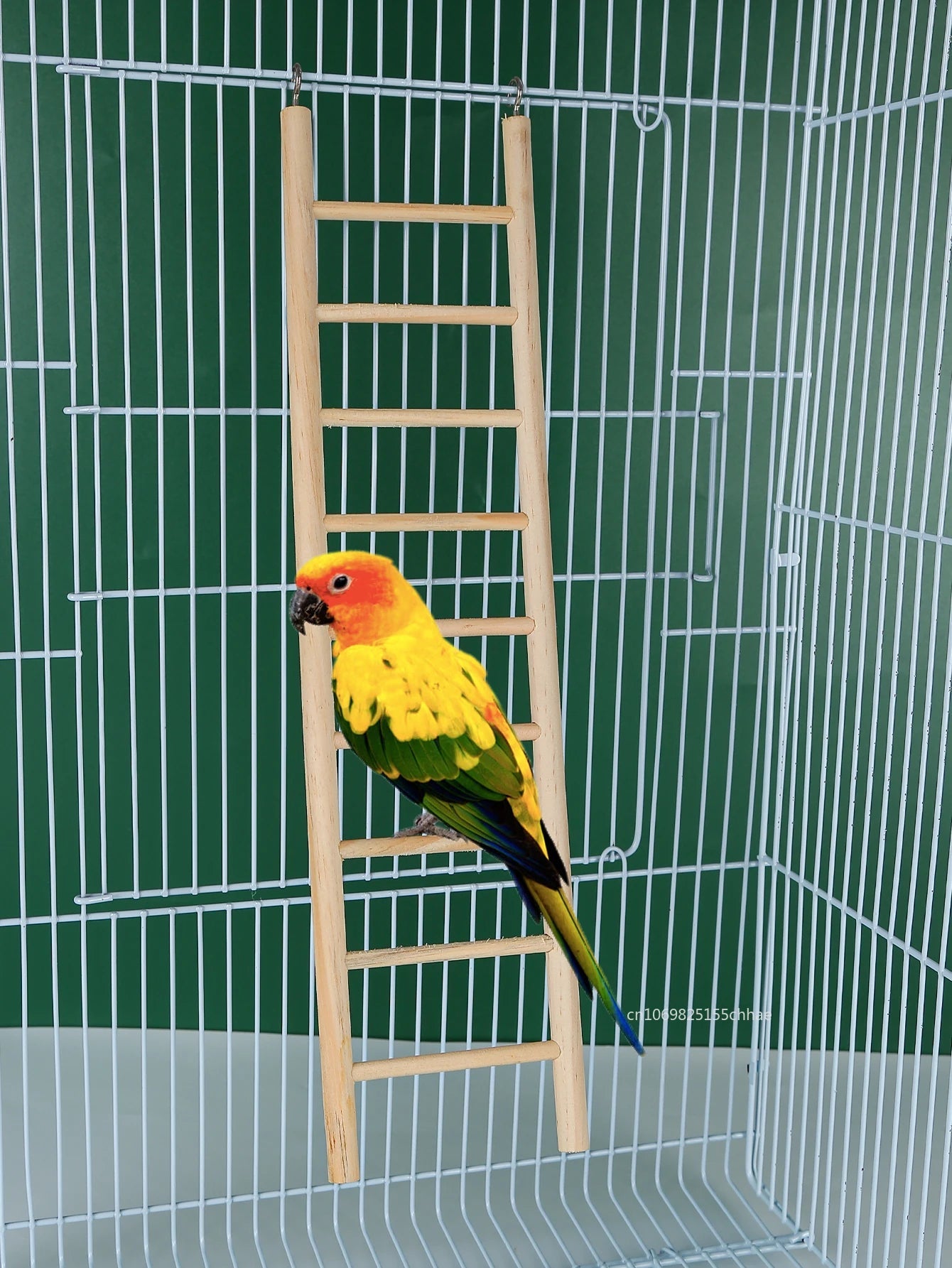 Wholesale Bulk Hamster Parrot Toys Hanging Cage Climbing Ladders with Natural Wood Parrots Suspension Bridge Swing Toys Bird Small Pet Supplies - Furbury
