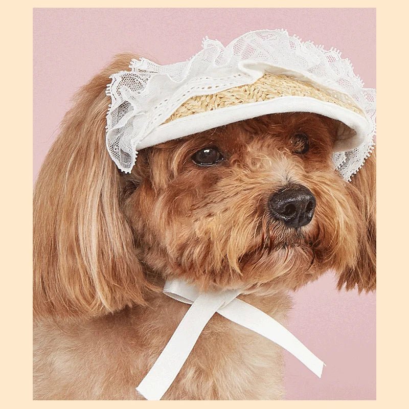 Wholesale Bulk Hat For Dog Woven Small Dog Hats Lace Soft Comfortable Pet Hats Adjustable For Walking Climbing Running Hiking Outdoor - Furbury