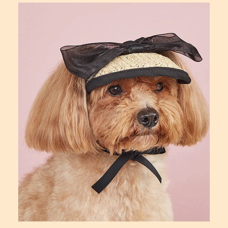 Wholesale Bulk Hat For Dog Woven Small Dog Hats Lace Soft Comfortable Pet Hats Adjustable For Walking Climbing Running Hiking Outdoor - Furbury