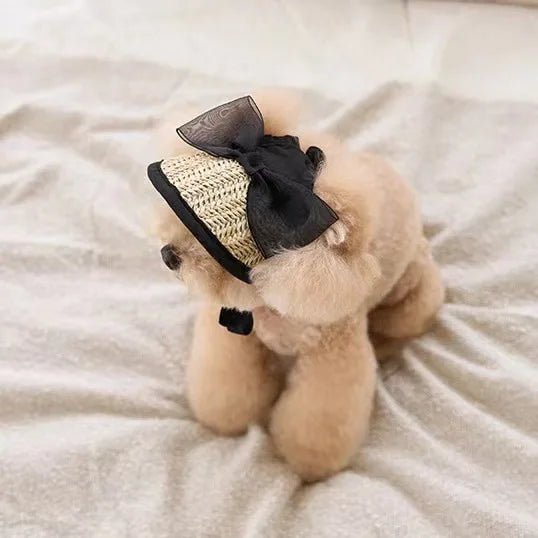 Wholesale Bulk Hat For Dog Woven Small Dog Hats Lace Soft Comfortable Pet Hats Adjustable For Walking Climbing Running Hiking Outdoor - Furbury