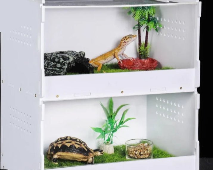 Wholesale Bulk Horned frog lizard spider insect hermit crab turtle tank reptile scorpion gecko Testudo elongata hedgehog incubator Breeding box - Furbury
