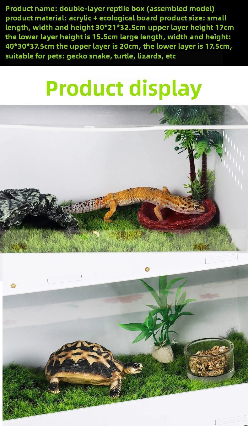 Wholesale Bulk Horned frog lizard spider insect hermit crab turtle tank reptile scorpion gecko Testudo elongata hedgehog incubator Breeding box - Furbury