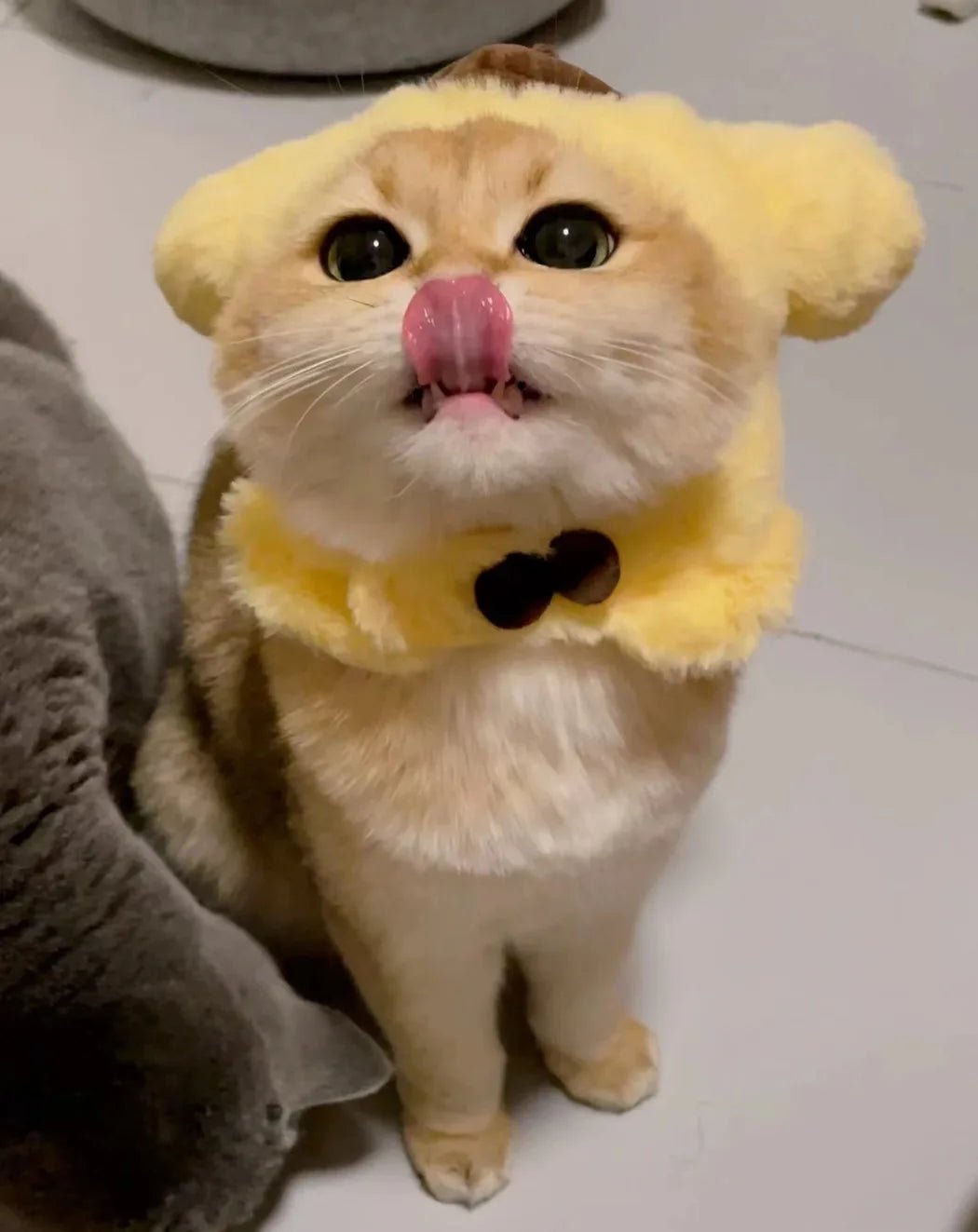 Wholesale Bulk Kawaii Sanrio Pet Hat Hello Kittys Cinnamoroll Accessories Cute Cartoon Anime Plush Puppy Cat Doll Headgear Toys for Girls Gift - Furbury