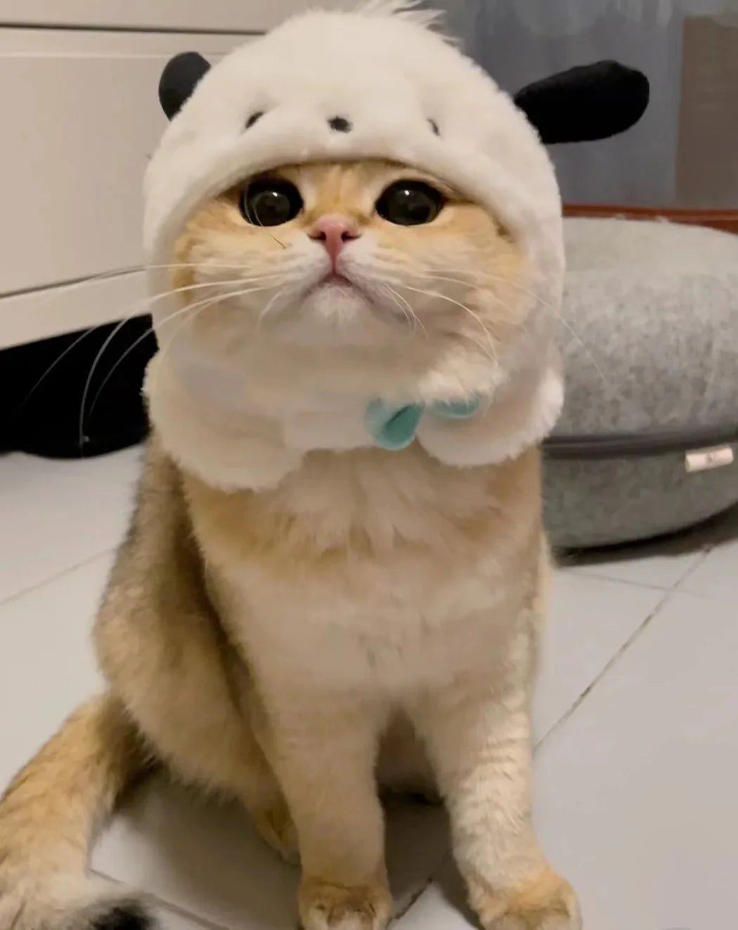 Wholesale Bulk Kawaii Sanrio Pet Hat Hello Kittys Cinnamoroll Accessories Cute Cartoon Anime Plush Puppy Cat Doll Headgear Toys for Girls Gift - Furbury