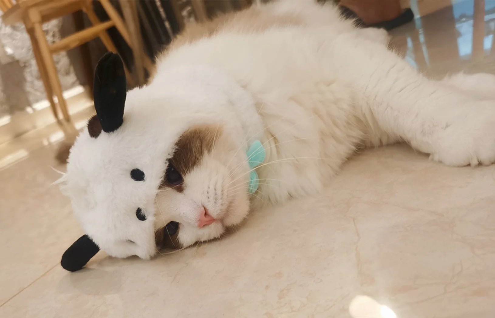 Wholesale Bulk Kawaii Sanrio Pet Hat Hello Kittys Cinnamoroll Accessories Cute Cartoon Anime Plush Puppy Cat Doll Headgear Toys for Girls Gift - Furbury