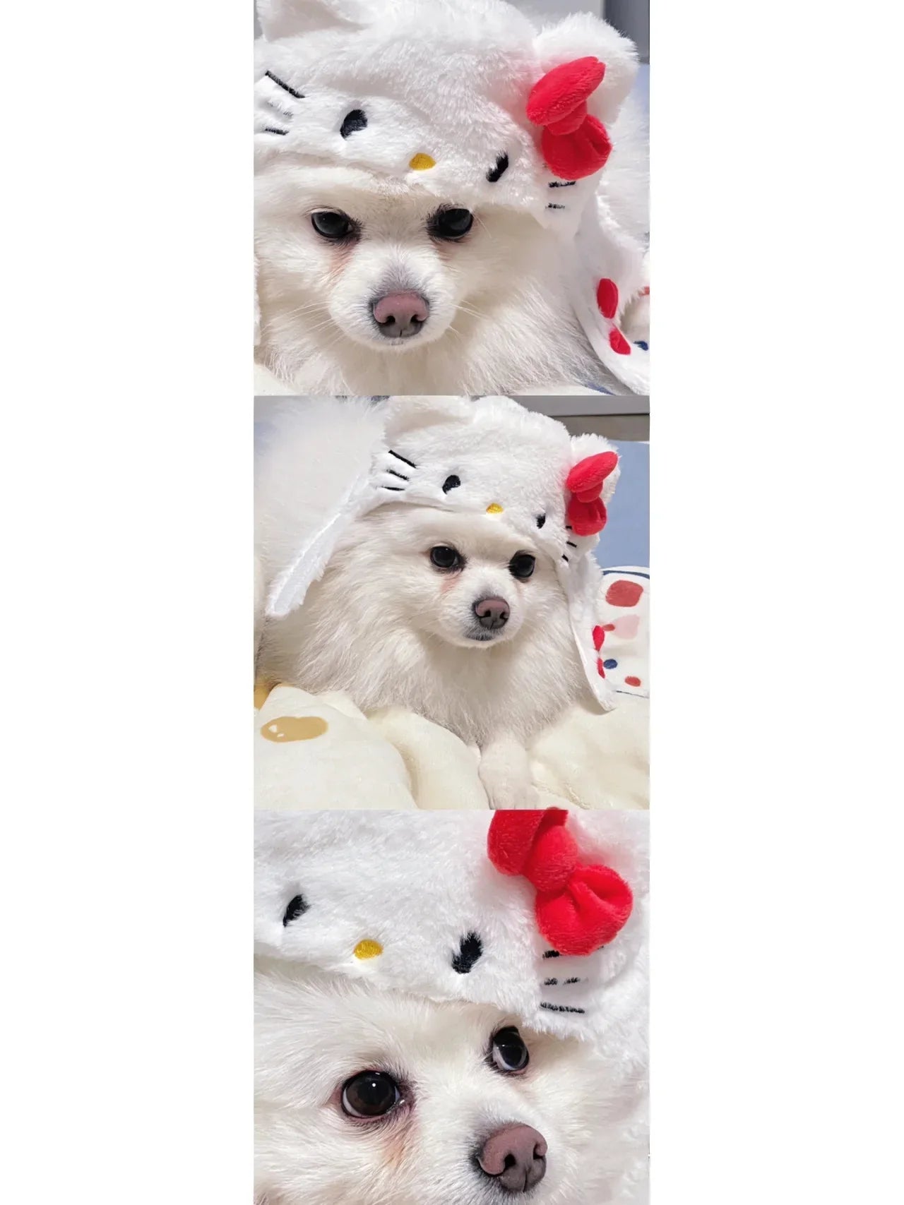 Wholesale Bulk Kawaii Sanrio Pet Hat Hello Kittys Cinnamoroll Accessories Cute Cartoon Anime Plush Puppy Cat Doll Headgear Toys for Girls Gift - Furbury