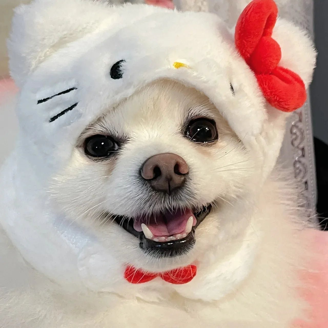 Wholesale Bulk Kawaii Sanrio Pet Hat Hello Kittys Cinnamoroll Accessories Cute Cartoon Anime Plush Puppy Cat Doll Headgear Toys for Girls Gift - Furbury