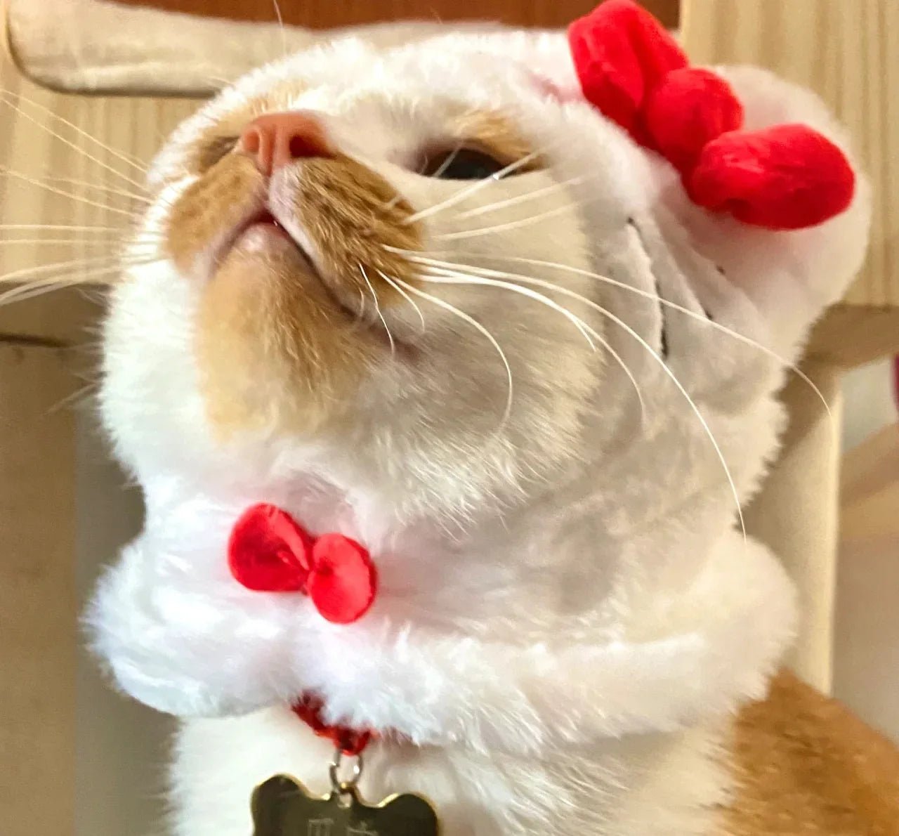 Wholesale Bulk Kawaii Sanrio Pet Hat Hello Kittys Cinnamoroll Accessories Cute Cartoon Anime Plush Puppy Cat Doll Headgear Toys for Girls Gift - Furbury