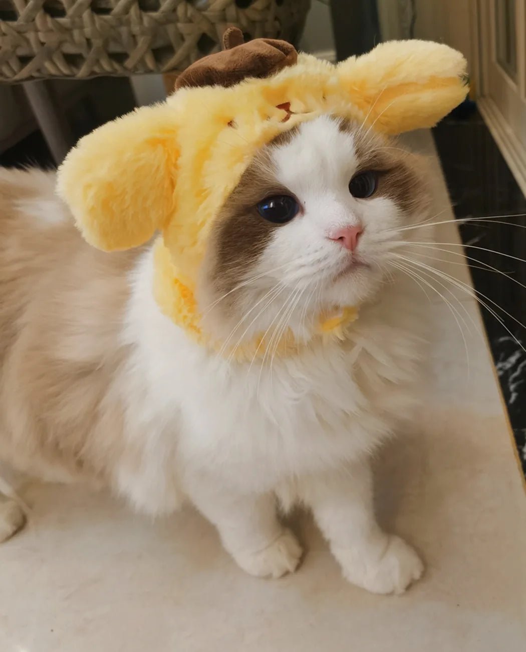 Wholesale Bulk Kawaii Sanrio Pet Hat Hello Kittys Cinnamoroll Accessories Cute Cartoon Anime Plush Puppy Cat Doll Headgear Toys for Girls Gift - Furbury