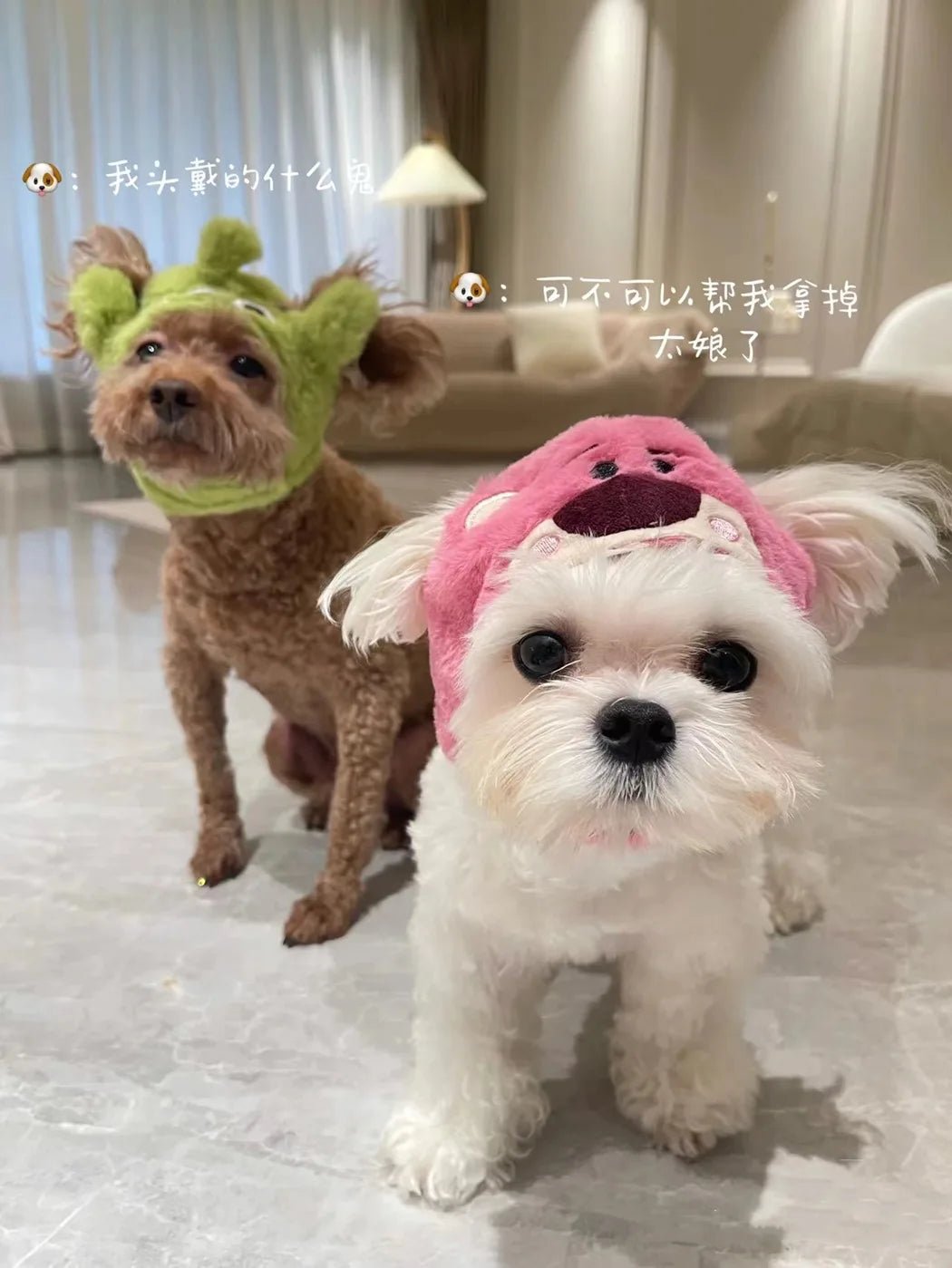 Wholesale Bulk Kawaii Sanrio Pet Hat Hello Kittys Cinnamoroll Accessories Cute Cartoon Anime Plush Puppy Cat Doll Headgear Toys for Girls Gift - Furbury