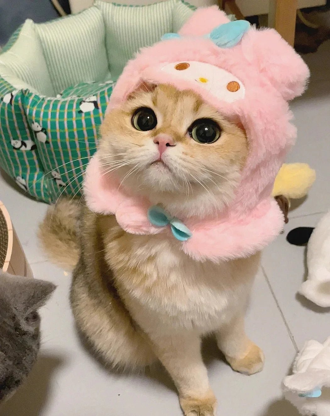Wholesale Bulk Kawaii Sanrio Pet Hat Hello Kittys Cinnamoroll Accessories Cute Cartoon Anime Plush Puppy Cat Doll Headgear Toys for Girls Gift - Furbury