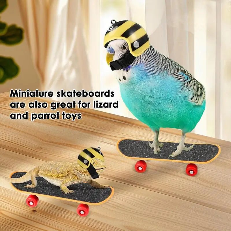 Wholesale Bulk Mini Small Skateboard For Turtles Parrot Toy with 2 Turtle Feeding Ball Fruit Vegetable Holder Finger Skate Board For Tortoise - Furbury