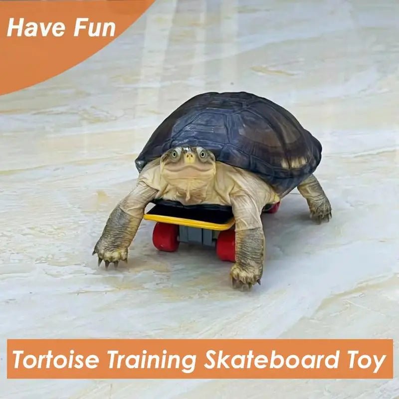 Wholesale Bulk Mini Small Skateboard For Turtles Parrot Toy with 2 Turtle Feeding Ball Fruit Vegetable Holder Finger Skate Board For Tortoise - Furbury