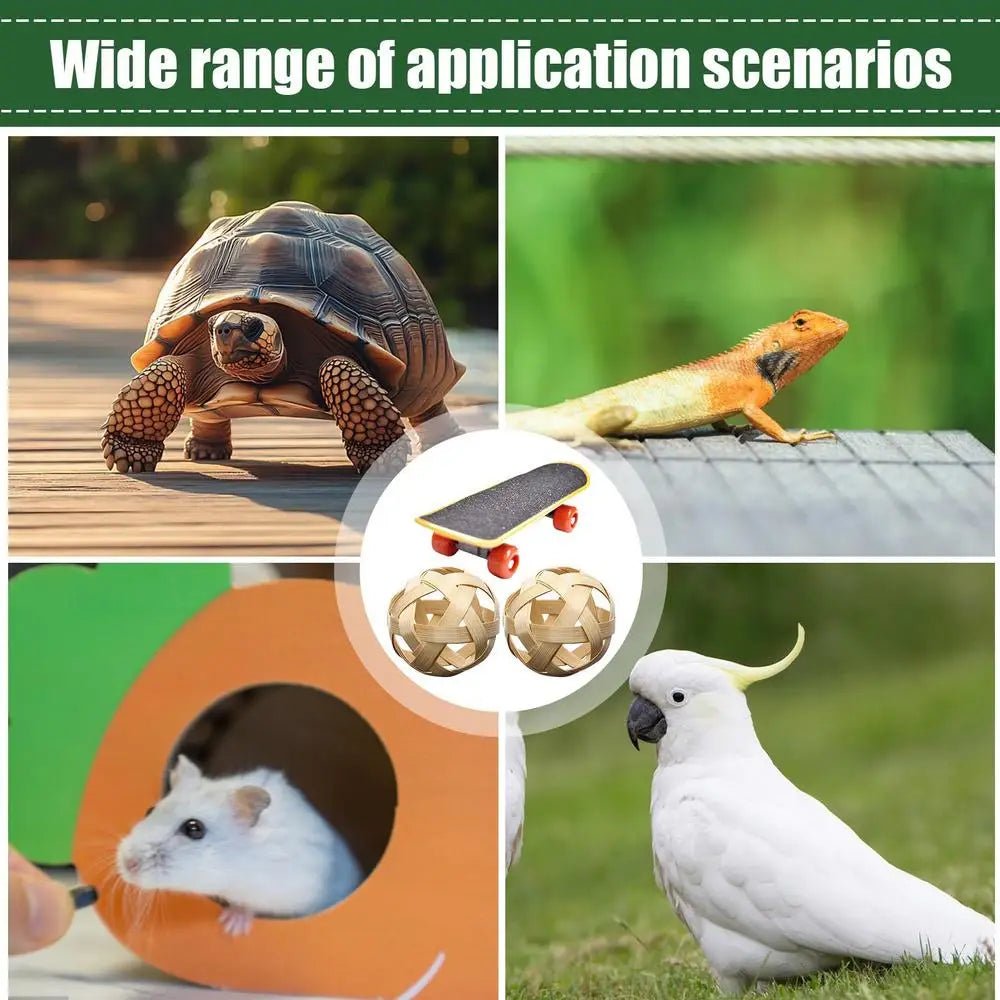 Wholesale Bulk Mini Small Skateboard For Turtles Parrot Toy with 2 Turtle Feeding Ball Fruit Vegetable Holder Finger Skate Board For Tortoise - Furbury