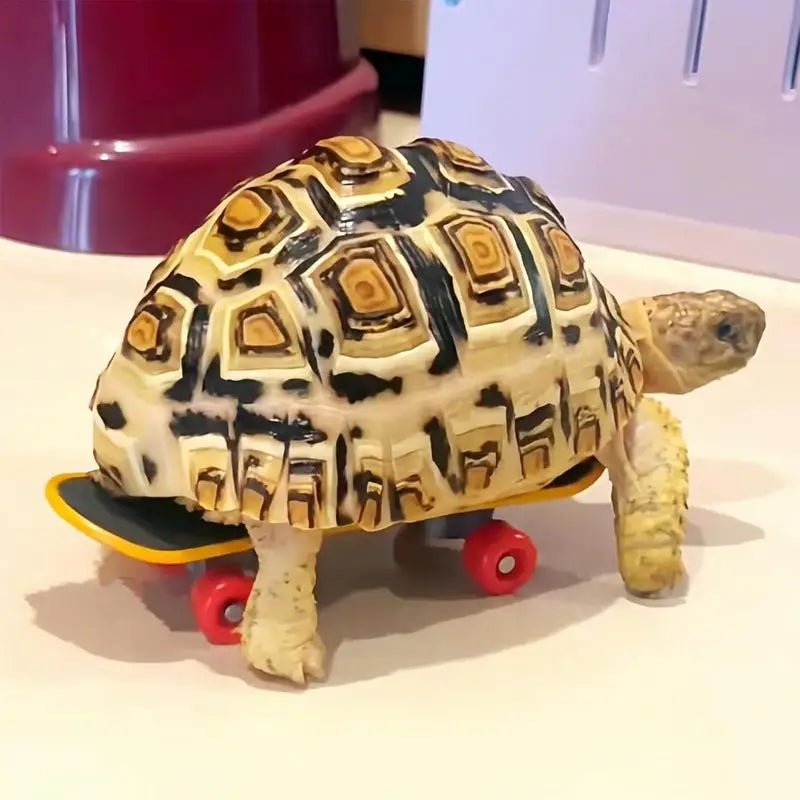 Wholesale Bulk Mini Small Skateboard For Turtles Parrot Toy with 2 Turtle Feeding Ball Fruit Vegetable Holder Finger Skate Board For Tortoise - Furbury