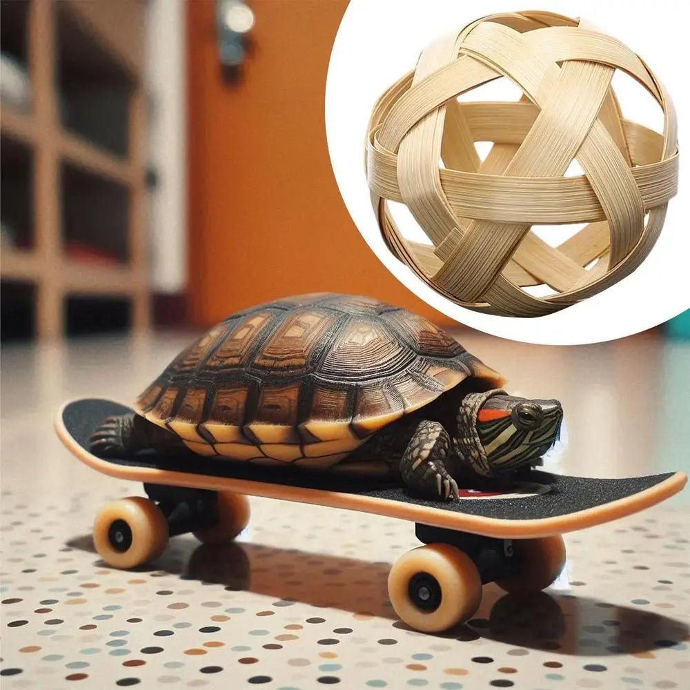 Wholesale Bulk Mini Small Skateboard For Turtles Parrot Toy with 2 Turtle Feeding Ball Fruit Vegetable Holder Finger Skate Board For Tortoise - Furbury