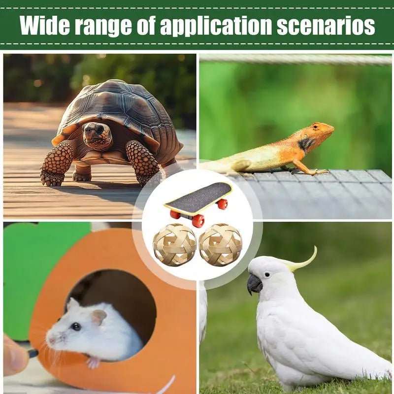 Wholesale Bulk Mini Small Skateboard For Turtles Parrot Toy with 2 Turtle Feeding Ball Fruit Vegetable Holder Finger Skate Board For Tortoise - Furbury