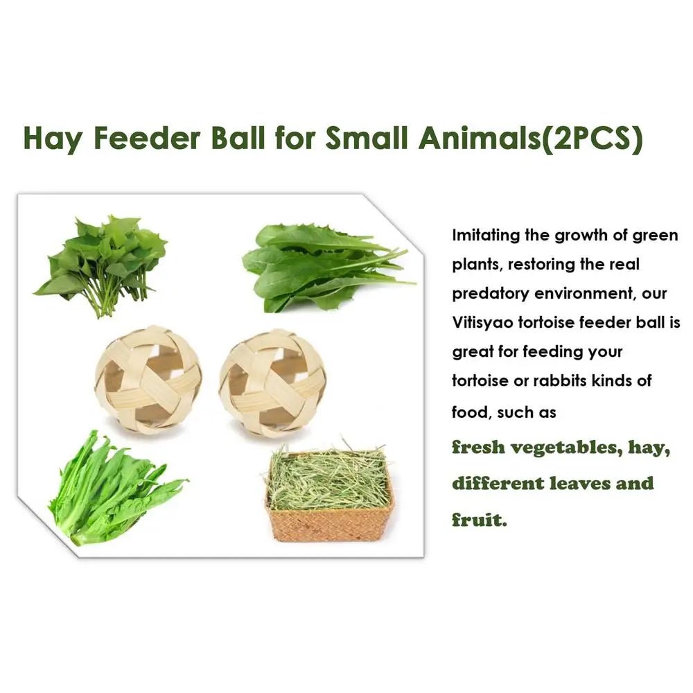 Wholesale Bulk Mini Small Skateboard For Turtles Parrot Toy with 2 Turtle Feeding Ball Fruit Vegetable Holder Finger Skate Board For Tortoise - Furbury