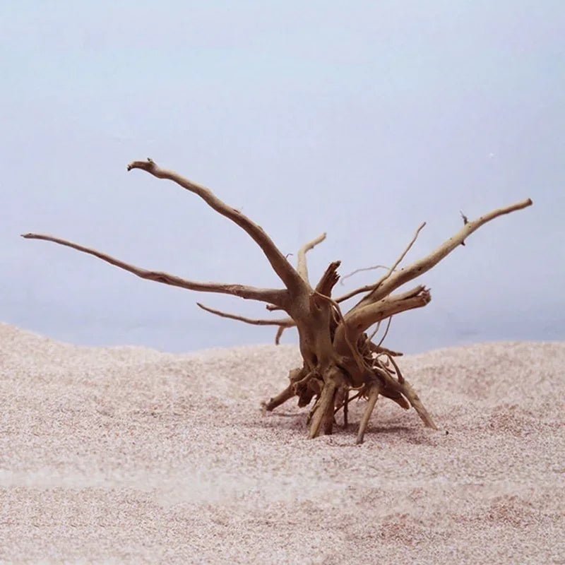 Wholesale Bulk Natural Tree Trunk Driftwood Aquarium Fish Tank Reptile Cylinder Roots Plant Wood Decoration Ornament Accessory Aquarium Plants - Furbury