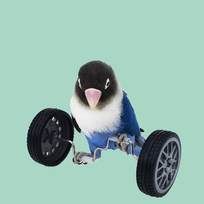Wholesale Bulk Parrot Balance Car Deboring Toys Small And Medium - Sized Bird Supplies Roller Skateboard Skill Training Props Phoenix Bird Toys - Furbury