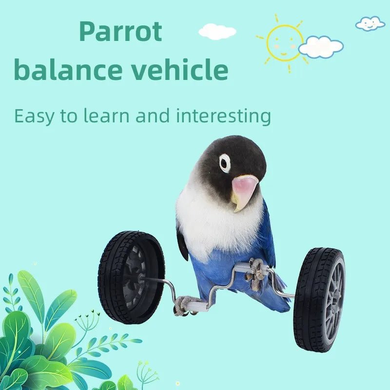 Wholesale Bulk Parrot Balance Car Deboring Toys Small And Medium - Sized Bird Supplies Roller Skateboard Skill Training Props Phoenix Bird Toys - Furbury