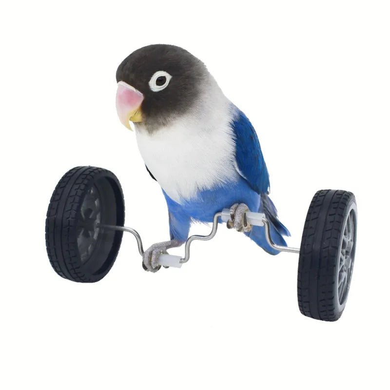 Wholesale Bulk Parrot Balance Car Deboring Toys Small And Medium - Sized Bird Supplies Roller Skateboard Skill Training Props Phoenix Bird Toys - Furbury