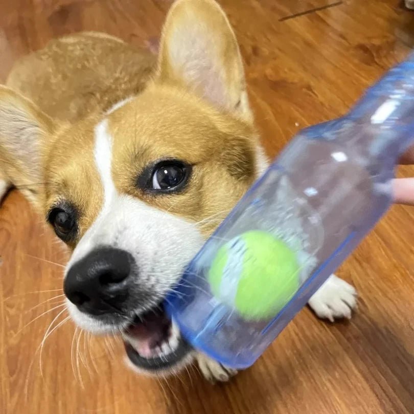 Wholesale Bulk Pet Chew Toy TPR Bite - resistance Beer Bottle with Tennis Ball Toy Puppy Teeth Grinding dog Chewing Squeaky Interactive Toys - Furbury