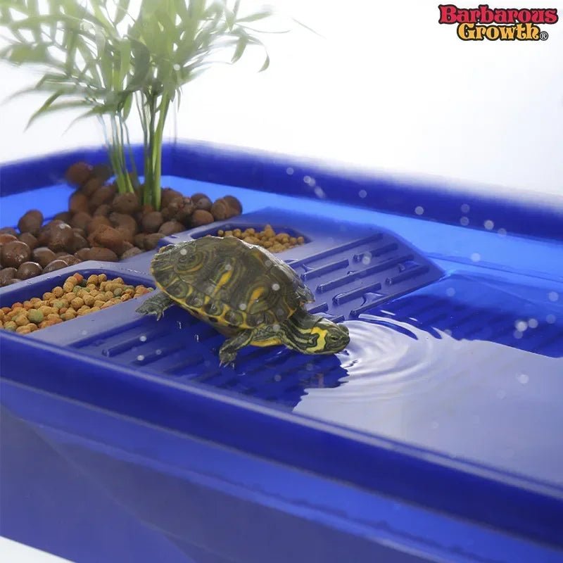 Wholesale Bulk Plastic Transparency Turtle Tank House Turtle Anti - Escape Cage Reptiles Habitat with Areas To Breed Feed Swim Basking Platform - Furbury