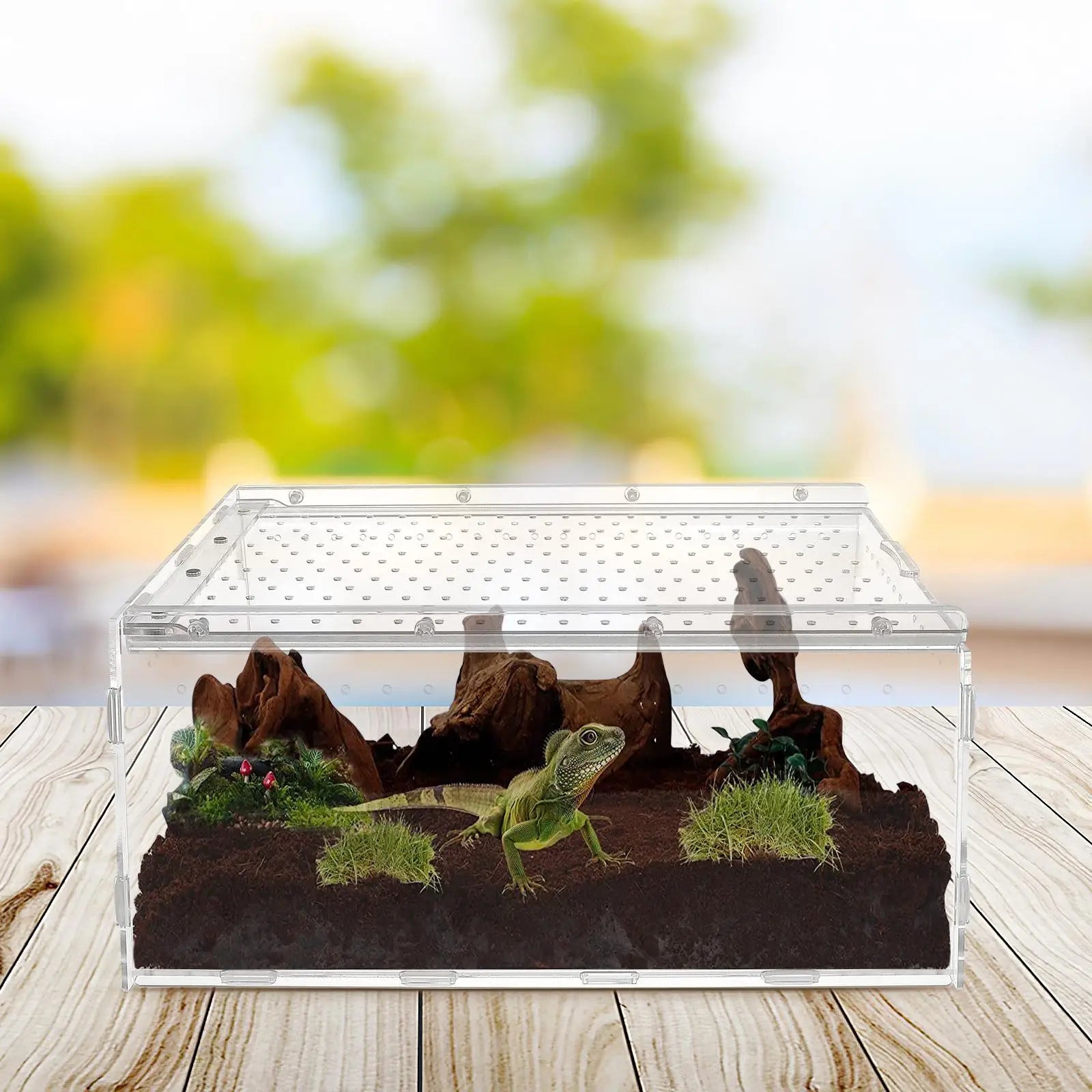 Wholesale Bulk Reptile Box Terrarium for Reptiles Spider Cage Acrylic Enclosure Racks Tank Crawl House Water Turtles - Furbury