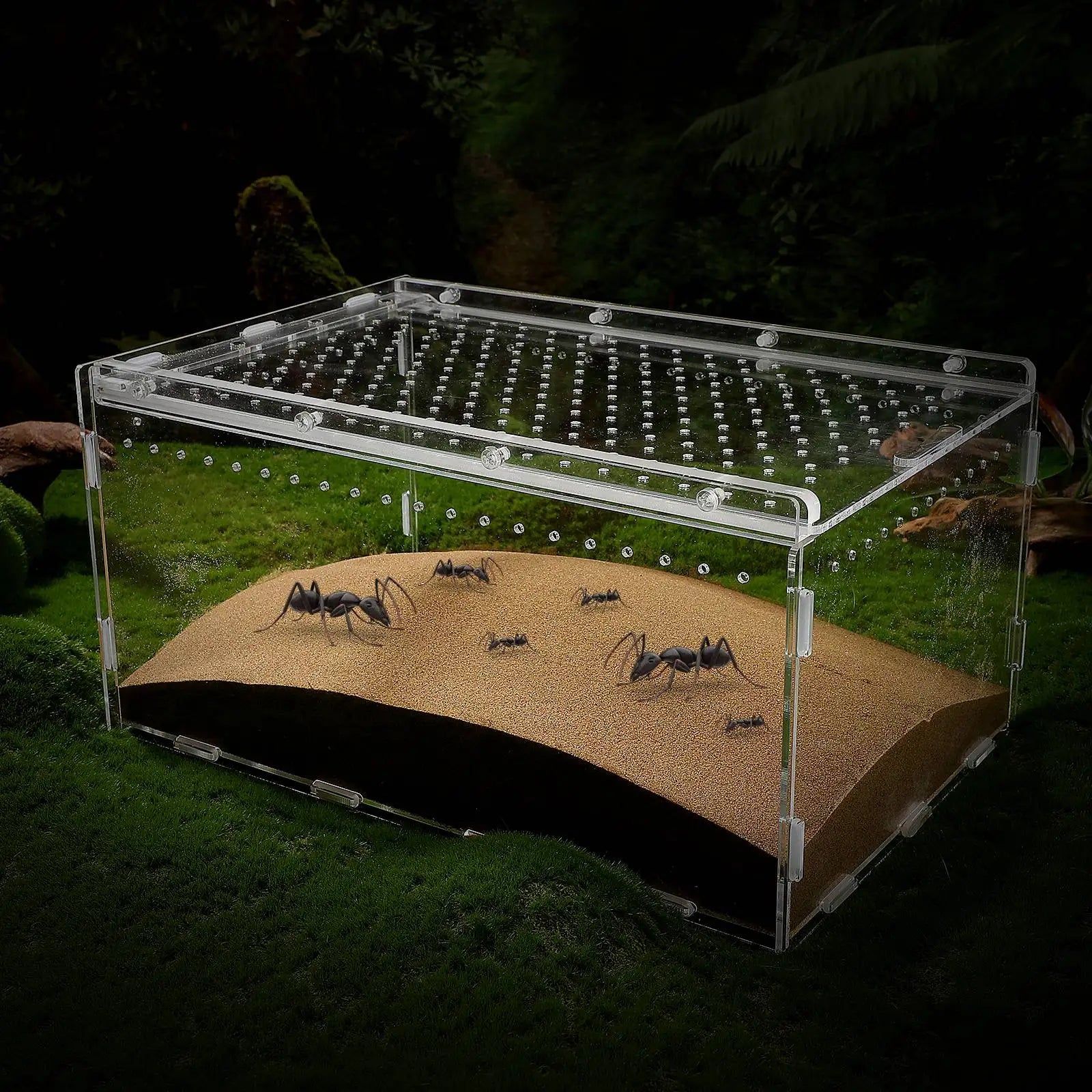 Wholesale Bulk Reptile Box Terrarium for Reptiles Spider Cage Acrylic Enclosure Racks Tank Crawl House Water Turtles - Furbury