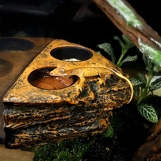 Wholesale Bulk Reptile Feeding Bowl Magnetic Hanging Reptile Food Dish Reptile Water Feeder Ledge Feeding Bowl For Gecko Lizards Tree Frogs - Furbury