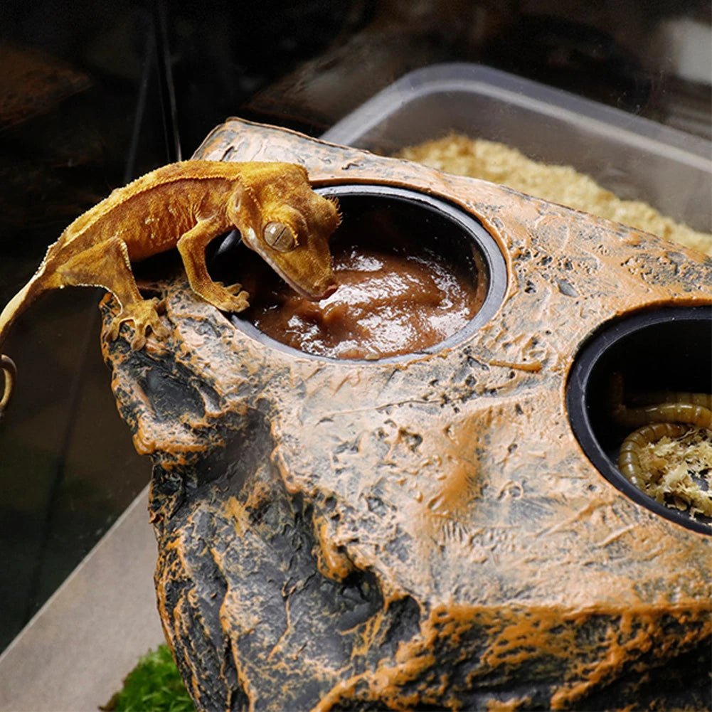 Wholesale Bulk Reptile Feeding Bowl Magnetic Hanging Reptile Food Dish Reptile Water Feeder Ledge Feeding Bowl For Gecko Lizards Tree Frogs - Furbury