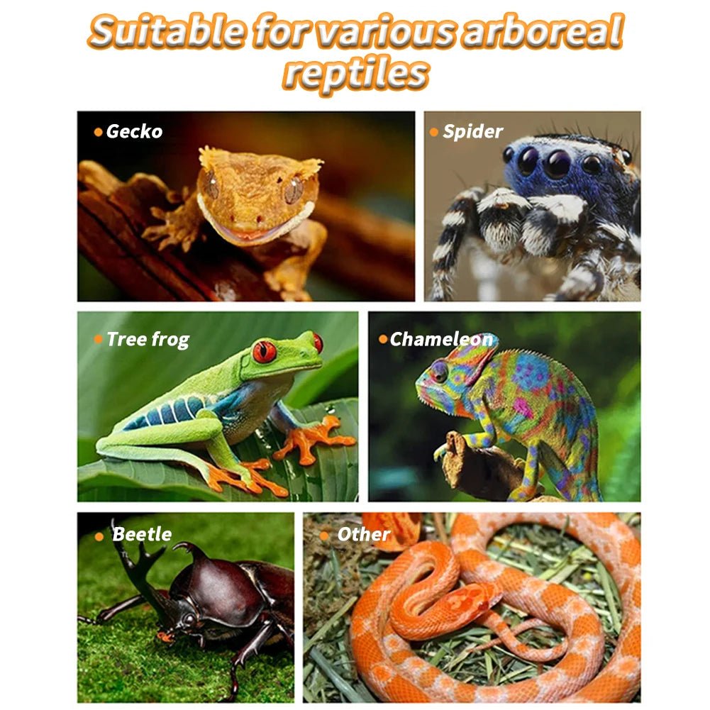 Wholesale Bulk Reptile Feeding Bowl Magnetic Hanging Reptile Food Dish Reptile Water Feeder Ledge Feeding Bowl For Gecko Lizards Tree Frogs - Furbury