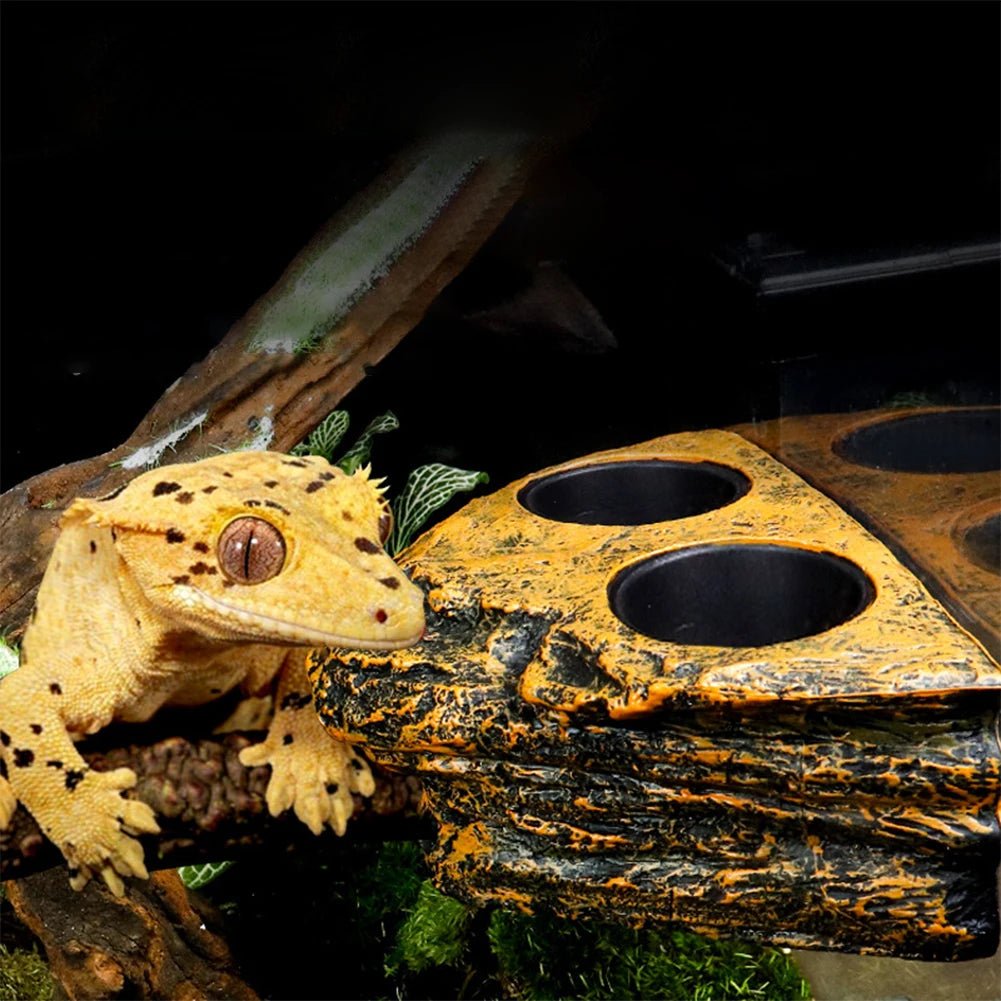 Wholesale Bulk Reptile Feeding Bowl Magnetic Hanging Reptile Food Dish Reptile Water Feeder Ledge Feeding Bowl For Gecko Lizards Tree Frogs - Furbury