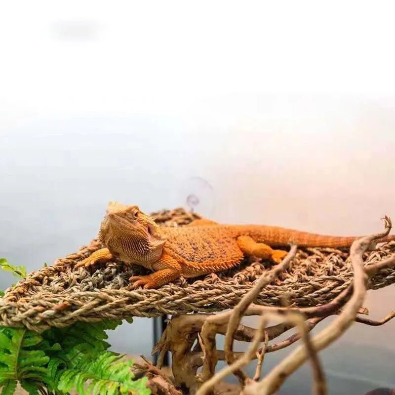 Wholesale Bulk Reptile Lizard Hammock Hamster Grass Cushion Pet Bed Seagrass Hammock Swing Pet Reptile Toy Hanging Mattress Hanging Sofa - Furbury