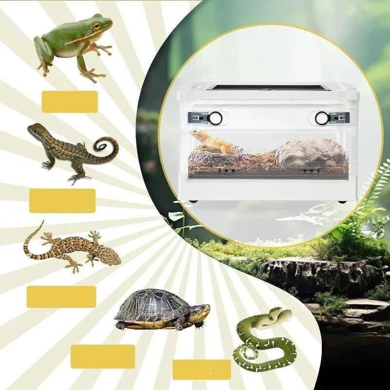 Wholesale Bulk Reptiles Breeding Enclosure Cages Transparent Amphibians Habitat Box Plastic Reptile Feeding Box for Lizard Bearded Dragon - Furbury