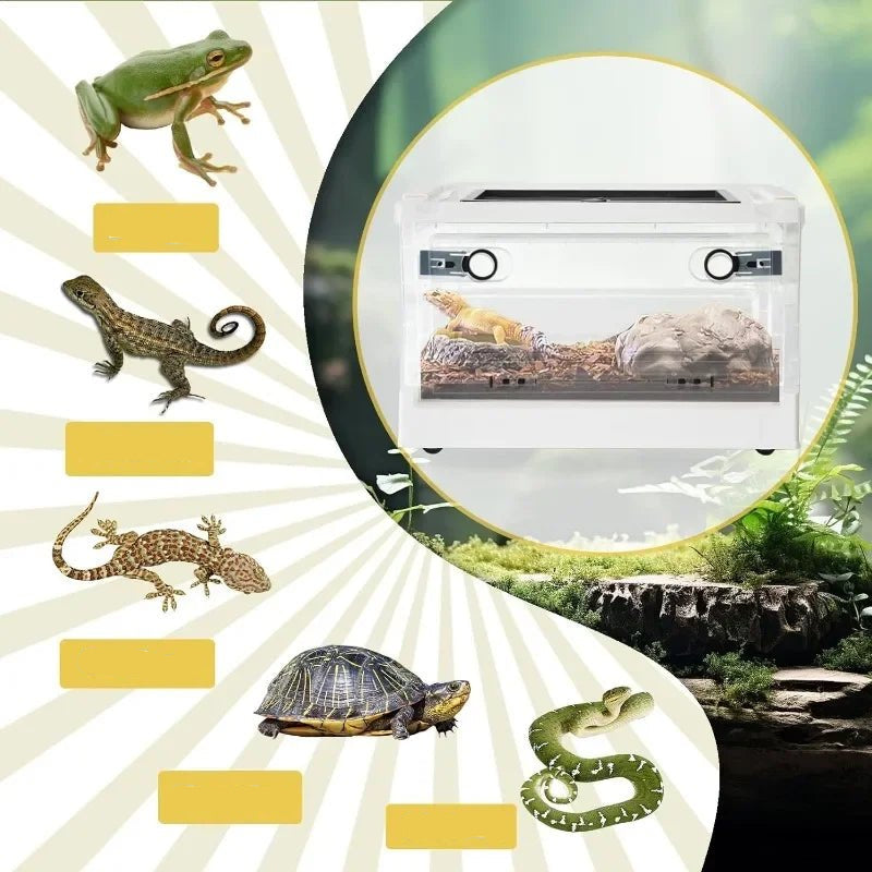 Wholesale Bulk Reptiles Breeding Enclosure Cages Transparent Amphibians Habitat Box Plastic Reptile Feeding Box for Lizard Bearded Dragon - Furbury