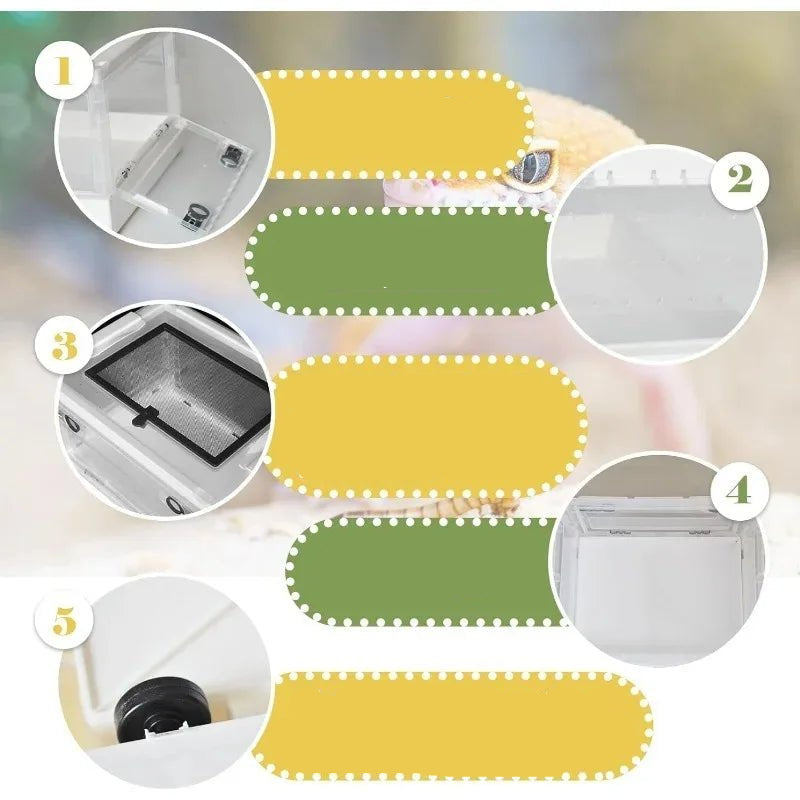 Wholesale Bulk Reptiles Breeding Enclosure Cages Transparent Amphibians Habitat Box Plastic Reptile Feeding Box for Lizard Bearded Dragon - Furbury