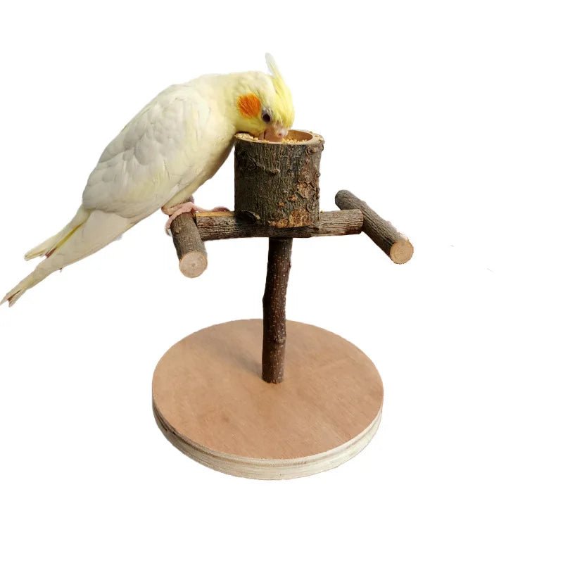 Wholesale Bulk Solid Wood Parrot Stand Training Bird Stand Parrot Toys Desktop Training Stand Pole Interactive Playground Small Pet supplies - Furbury