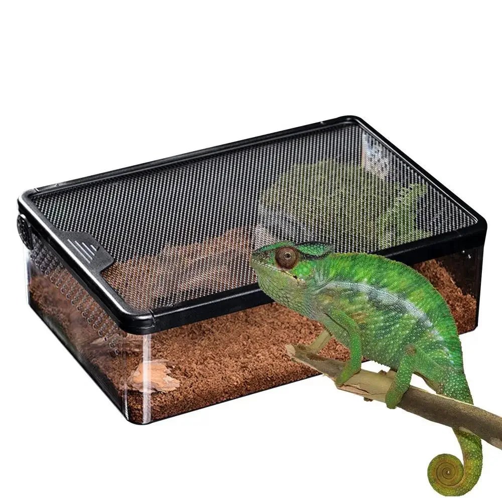 Wholesale Bulk Transparent Reptile Feeding Boxs Amphibian Insect Reptile Breeding Box Ventilated Hatching Container Reptile Terrarium Tanks - Furbury
