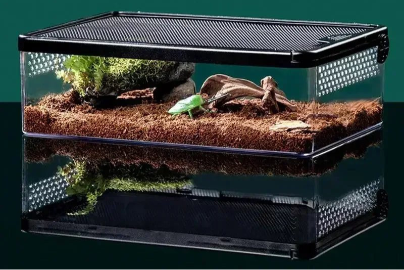 Wholesale Bulk Transparent Reptile Feeding Boxs Amphibian Insect Reptile Breeding Box Ventilated Hatching Container Reptile Terrarium Tanks - Furbury