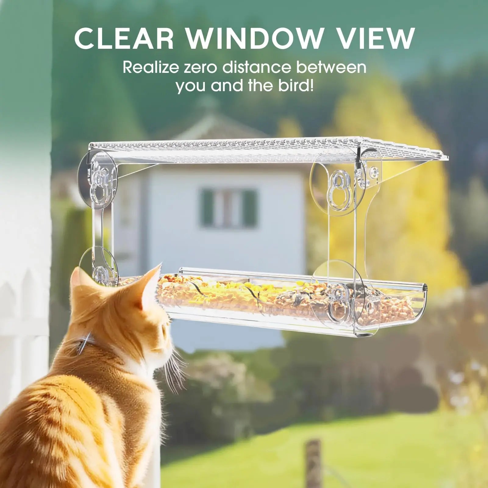 Wholesale Bulk Transparent Window Viewing Bird Feeders for Outdoors - Enhanced Suction Grip, Wild Bird Watching for Cats, Birdhouse Feeder - Furbury