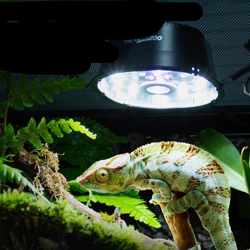 Wholesale Bulk UVB Pet Reptile Lampfor Amphibian Snake Lamp Heat Reptiles Bulb LED/UVB Dual Mode Reptiles Light Lizard Breeding Box Lighting - Furbury